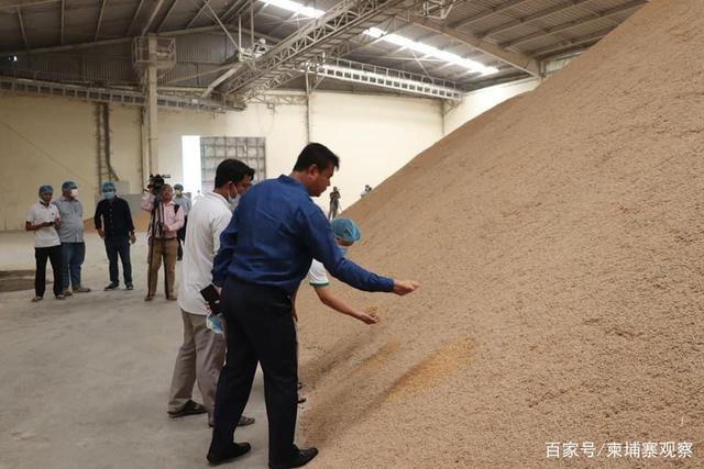 柬埔寨追加3000万美元预备金，力促稻谷加工企业收购，保障粮食安全与农民收益