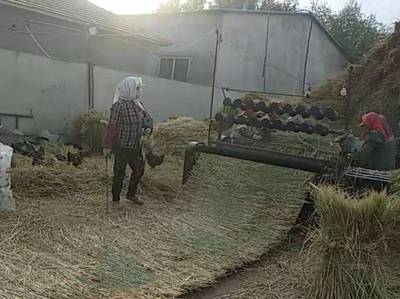 春耕新路径 水稻秸秆综合利用与稻谷加工协同发展方案