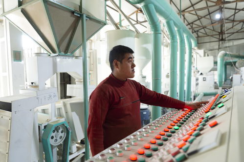 土改第一村的“小康密码” 从稻浪飘香到产业链的嬗变