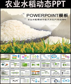 丰收之路 大米生产加工全流程解密