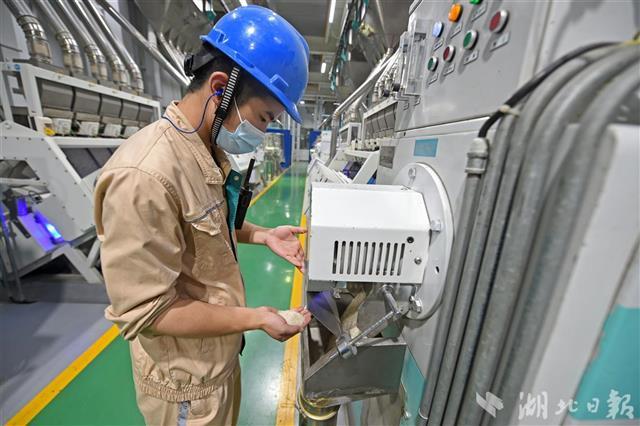 东西湖区大型粮油工厂产能再扩大，稻谷加工迈上新台阶